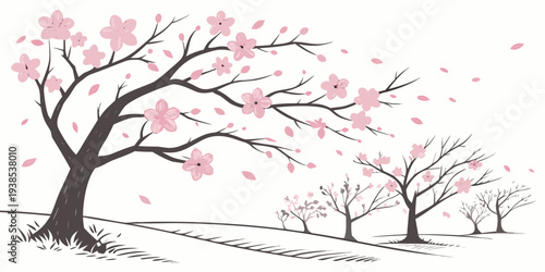 A serene scene of cherry blossom trees in full bloom with delicate pink flowers Vector
