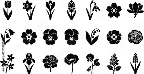 A Collection of Various Stylized Black Flower Silhouettes Isolated on White