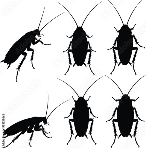 Cockroach silhouettes, top and side views, insect icons, pest control illustration, black vector set, entomology reference, bug anatomy