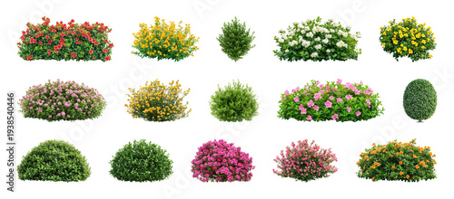PNG Colorful garden shrub collection on transparent background