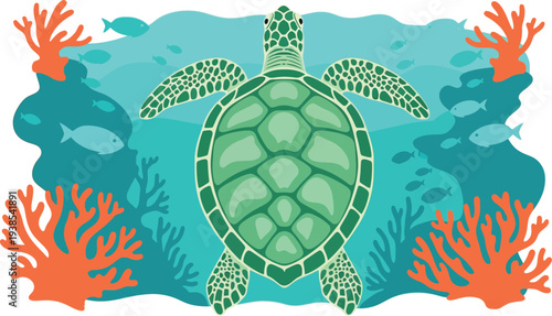 Green sea turtle swimming over coral reef in turquoise ocean water