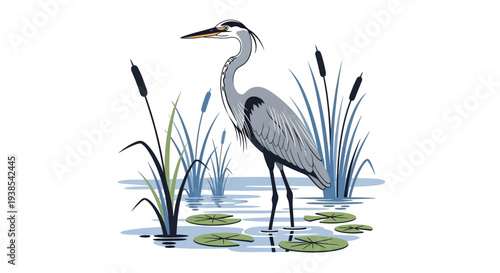 Great blue heron standing in marsh with water lilies and reeds
