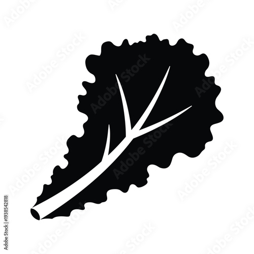 Minimalist Black and White Silhouette of a Single Ruffled Lettuce Leaf Icon Isolated on White