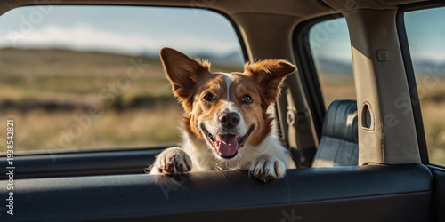 Happy ginger dog looking out of a car window against a blurred background of a green field and blue sky