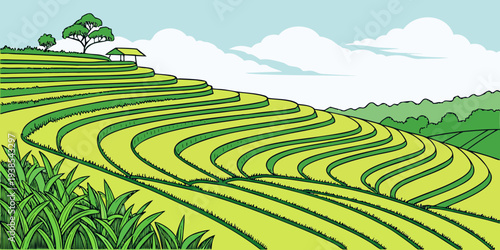 A green field with rows of crops and a house in the distance Vector