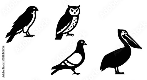 Set of Bird Silhouettes: Hawk, Owl, Pigeon, and Pelican Icons on White Background