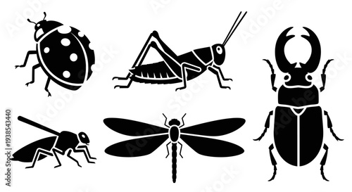 Set of Insect Silhouettes: Ladybug, Grasshopper, Dragonfly, Wasp, and Beetles