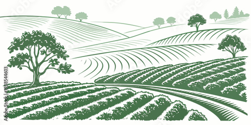 A green and white image of a farm with trees Vector