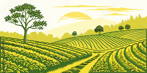 A field of yellow flowers with a tree in the distance at sunset Vector