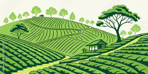 A green landscape with a tree on a hill overlooking rows of vineyards Vector