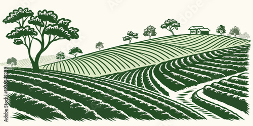 A green illustration of a vineyard with rows of crops and trees Vector