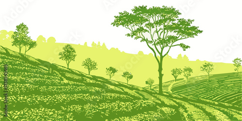 A green landscape with a tree on a hillside Vector