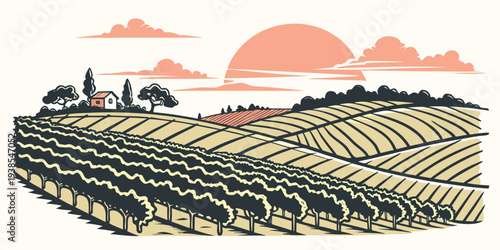 A serene landscape of a vineyard at sunset Vector