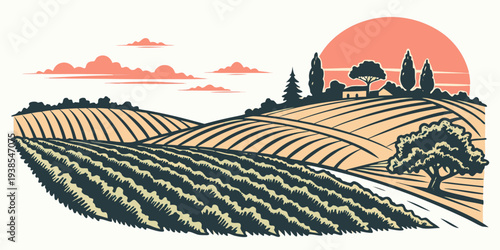 A serene vineyard landscape at sunset Vector