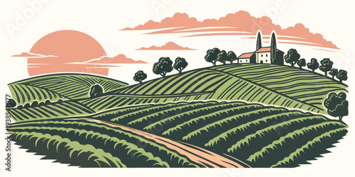 A serene vineyard landscape at sunset with a church in the background Vector