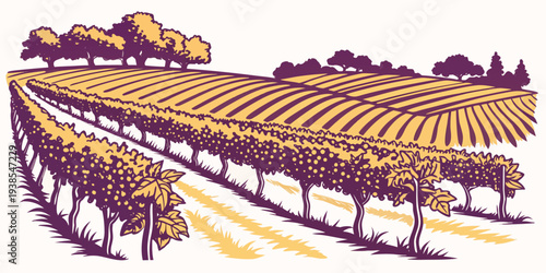 A purple and orange illustration of a vineyard on a hillside Vector