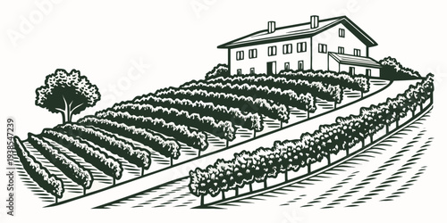 A large house sitting on top of a vineyard Vector
