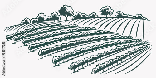 A green drawing of a field with trees in the background Vector