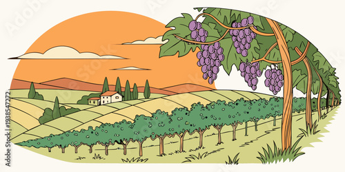 A serene vineyard landscape at sunset with lush greenery and ripe purple grapes Vector