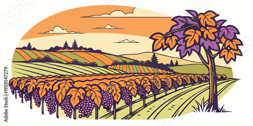 A colorful illustration of a vineyard at sunset Vector