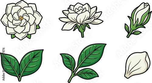 Vector sticker set close up white gardenia flowers and leaves arranged in rows isolated on white background bold outline clean flat