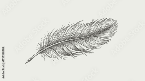 Detailed gray feather structure closeup.