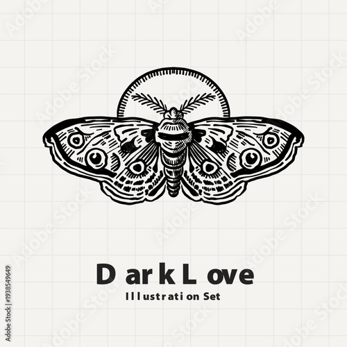 Gothic Death Moth with Skull Pattern Dark Love Illustration