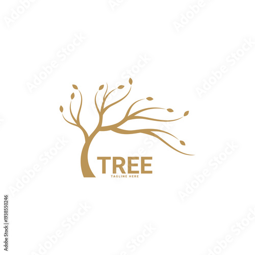 Tree Logo Vector Tree Logo Design Template