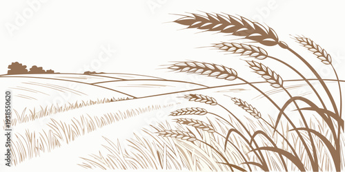A sepia-toned image of a wheat field with trees in the distance Vector