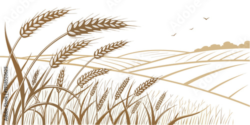 A serene landscape of wheat in a field on a sunny day Vector