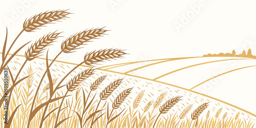 A close-up view of a field of wheat Vector