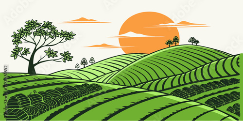 A serene landscape of green tea plantations at sunset Vector