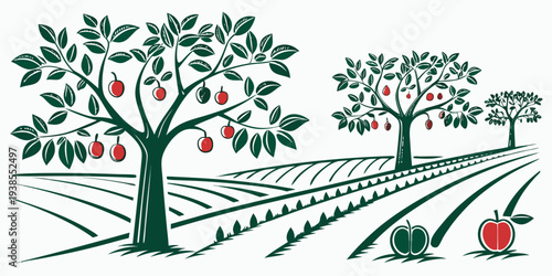An illustration of an apple orchard with trees and rows Vector