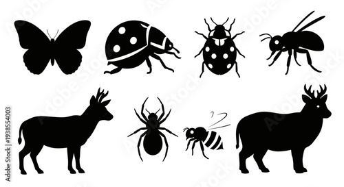 Animal and Insect Silhouettes Set - Wildlife Nature Collection