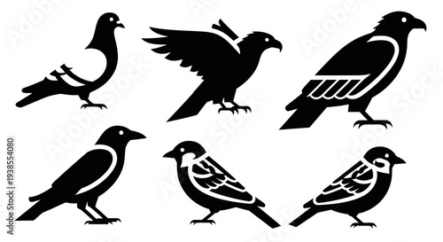 Bird Silhouettes Collection: Pigeon, Hawk, Crow, Sparrow Icons. Diverse Avian Species.
