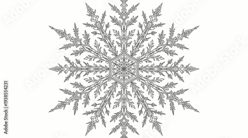 Detailed illustration of a snowflake.
