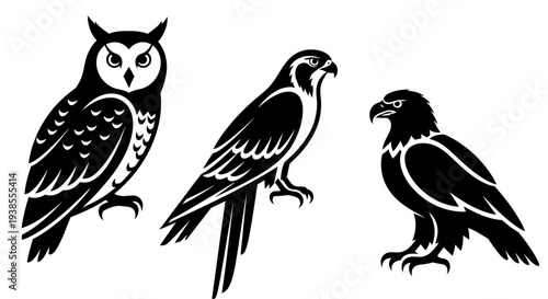 Black and White Vector Set of Owl, Falcon, and Eagle Birds of Prey