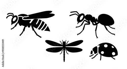 Black Insect Silhouettes Set: Wasp, Ant, Dragonfly, Ladybug Icons