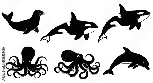 Black silhouettes of diverse marine animals including orcas, seal, dolphin, and octopuses on white