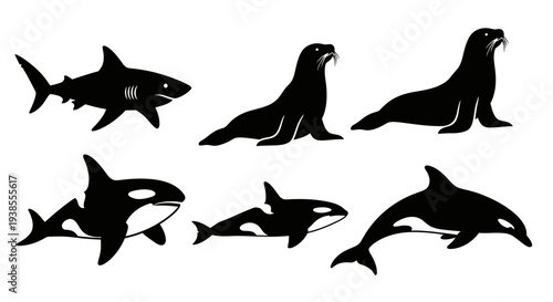 Collection of Marine Animals Silhouettes: Shark, Sea Lions, and Orcas