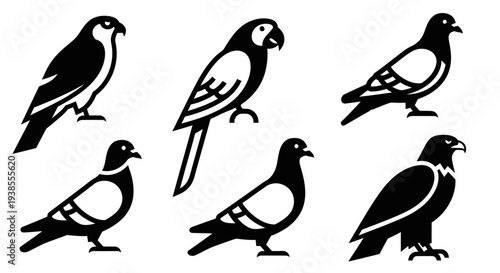 Collection of various bird silhouettes: falcon, parrot, and pigeons isolated on white