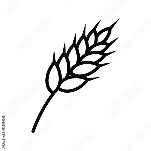Minimalist Wheat Stalk Line Art Illustration, Single Grain Head Icon on White Background