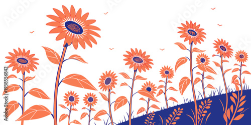 A field of sunflowers on a hillside with a white background Vector