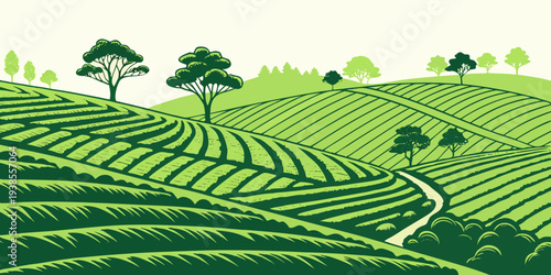 A green tea plantation with trees on rolling hills Vector