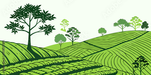 A green hillside with trees and rows of plants Vector