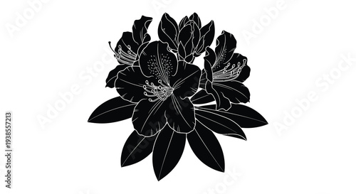 Fotografía A striking black floral arrangement of rhododendrons showcasing detailed petals