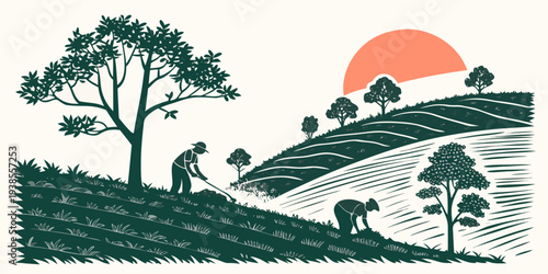 Farmers working in a field at sunset Vector