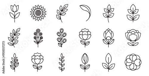 Collection of floral and botanical line art icons featuring various flowers and leaves like tulips sunflower roses and branches symbolizing nature beauty and growth vector