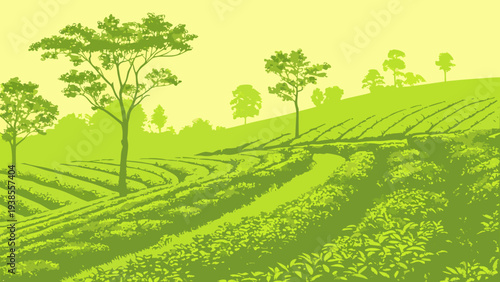 A green landscape with trees and a field Vector