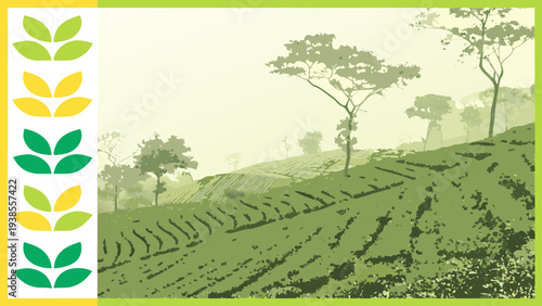 A green tea field with trees in the background Vector
